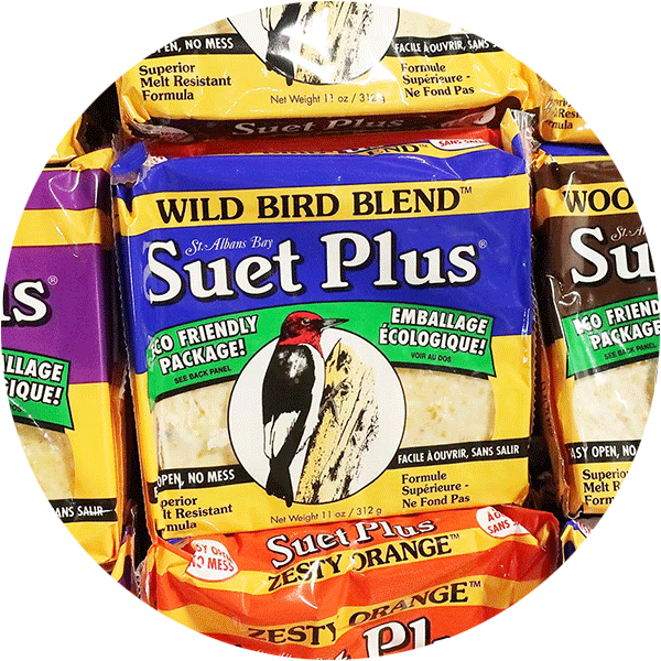 Suet Plus brand suet feed